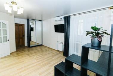 VIP Apartment ob Gorkogo Square