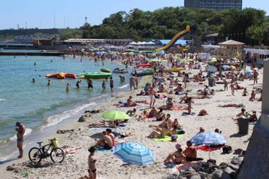 Guest House Butterfly Wing