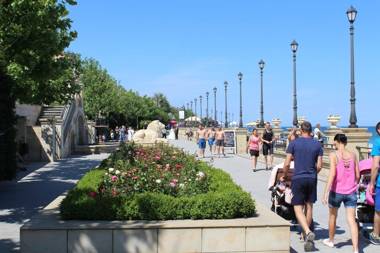 Guest House Butterfly Wing