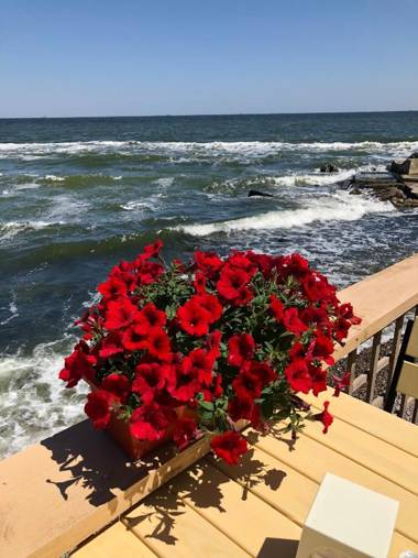 Odessa Old Center Ekaterininskaya 39