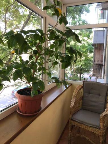 Sun Apartments City Centre