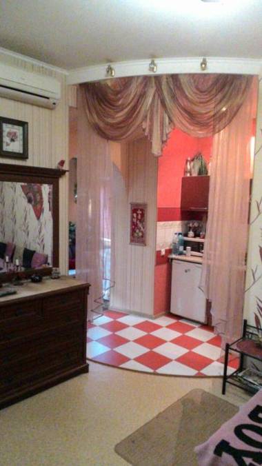 Пушкинская 1 комнатная центр