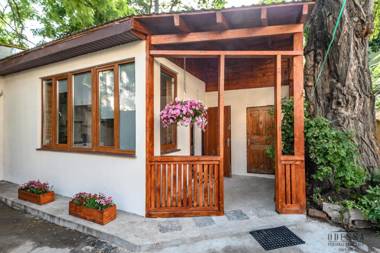 New loft-style house in city center