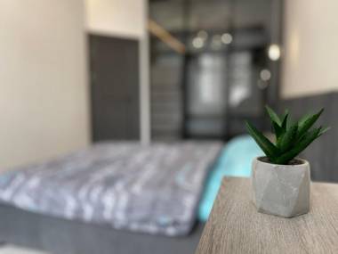 Cozy 271 apartment in Arcadia area new building