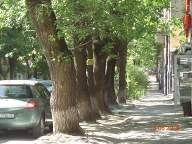 1ком апартаментыпарковкаулХорватская