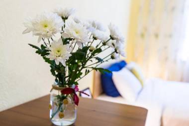 Modern 2BR Apartment in Central Lviv