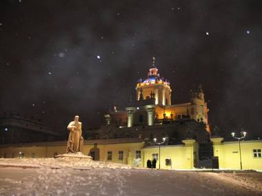 Flat on Sheptytskykh