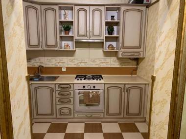 Apartment on Kostyushka 20