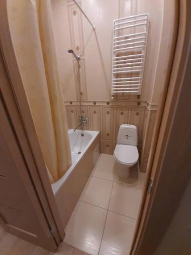 Apartment on Kulisha 41