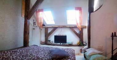 Lviv Amazing Rooftop Apartment