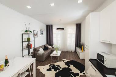 Apartment on Horodotska 13