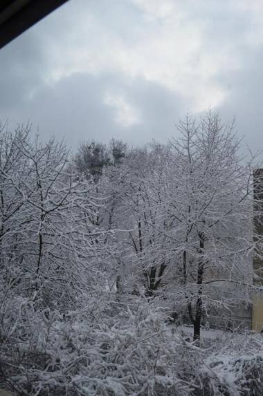Sunny Studio in the center of Lviv