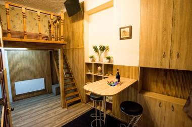 Apartment on Pekarska street