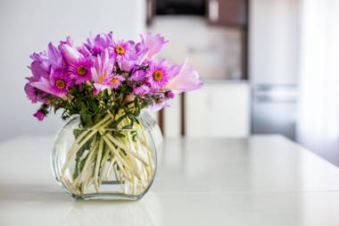 Avangard Franko Apartment