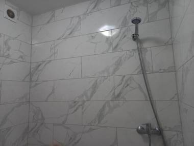 шевченка 60 семицвіт