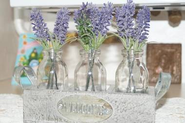 Dominicana l Apartments l Lviv Historical City Center