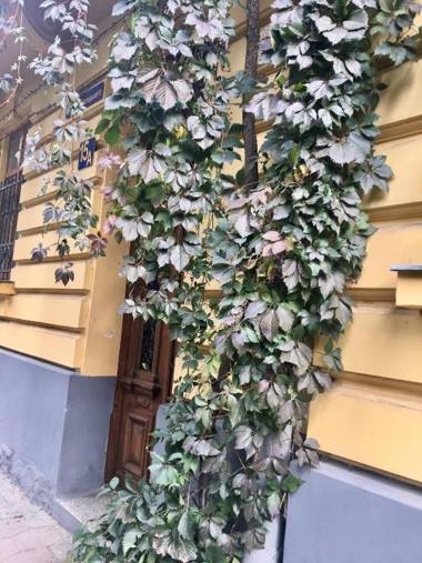 LUX APARTAMENT на Левицького