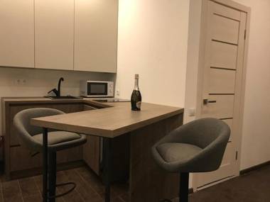 VIP Apartment Ploscha Rynok