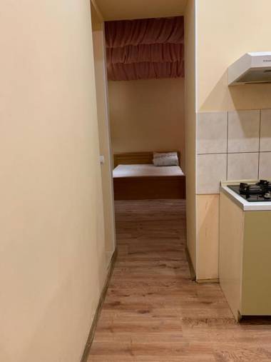 Apartment Kotliarska st.-Moisha House