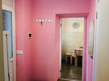 Apartments in the city center