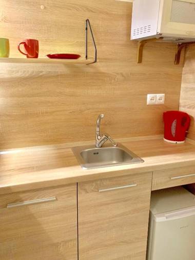 Mini-Smart- квартира в центральній частині Львова для пари