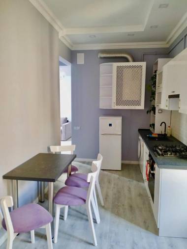 Romantic Panorama Krakivska street