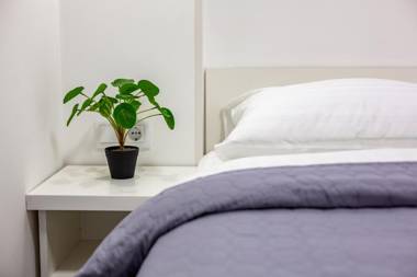 Cozy apartments center