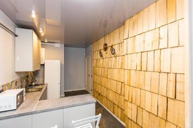 Apartment on Shevchenka 19 Grazhda