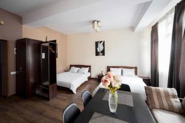 Аpartments in the center (Mytna square)