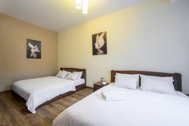 Аpartments in the center (Mytna square)