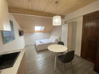 Апарт-отель у центрі Львова на вулиці Лесі Українки 19 11