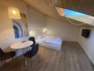 Апартаменти в центрі Львова вулиця Лесі Українки 19/14