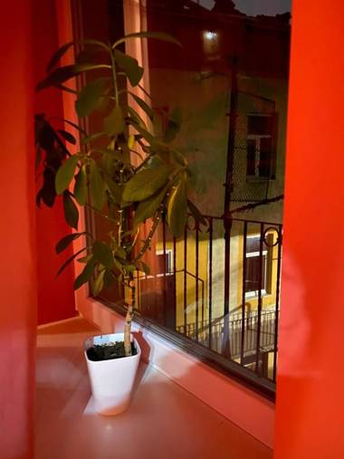 31 Котлярська