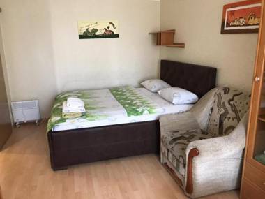 Studio on Vandy Vasylevskoi 8