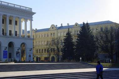 Apartment on Horodetskoho 4