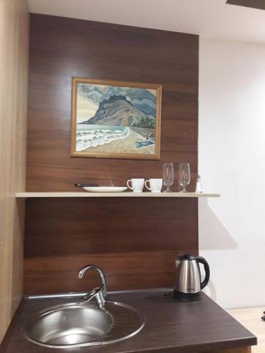 Mini Hotel on Demiivska