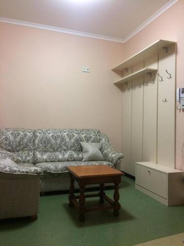 1BR apartment in the old city center (Kyïv)