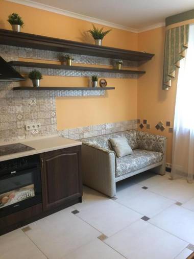 1BR apartment in the old city center (Kyïv)