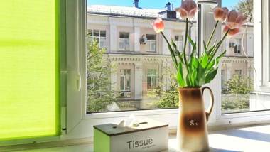 Centre nigh Mariinsky Park Palace