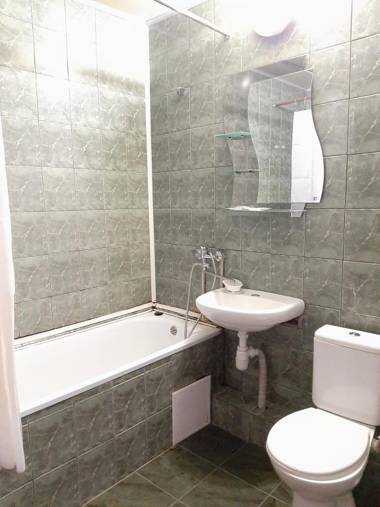 1 комнатная на Позняках