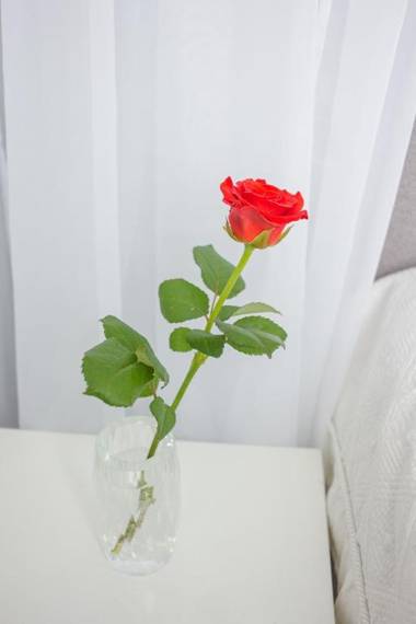 Charming studio in the center