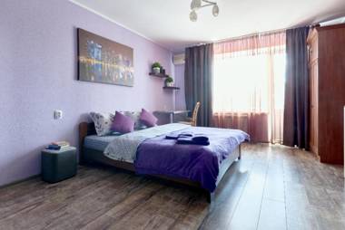 One room Apartment on Shovkovychna street 48