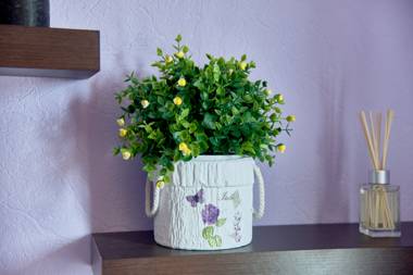 One room Apartment on Shovkovychna street 48 