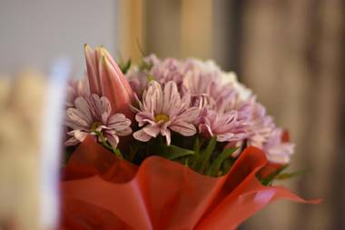 Freedom apartments in city center