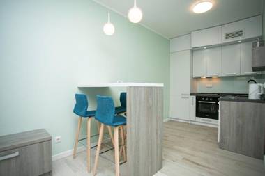 21212 Cozy apartment nearby wirh Kiev Central Railway Station