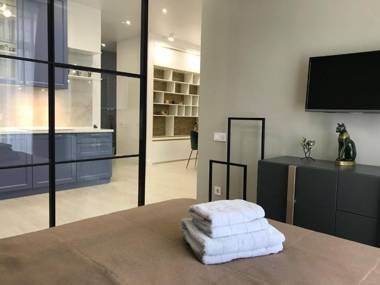 *Luxury apartment in the city center*