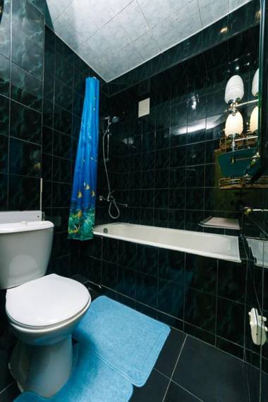 1 комнатная квартира м Васильковская