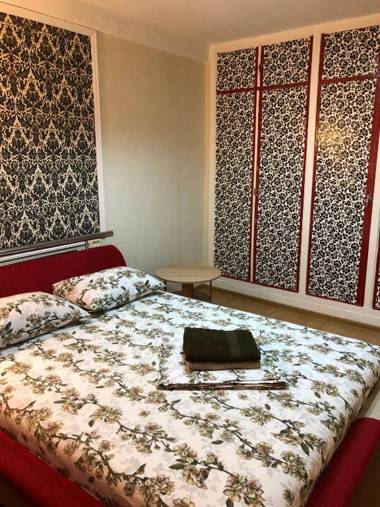 Kyiv Apartment in Pechersk on Oleksandra Kopylenko