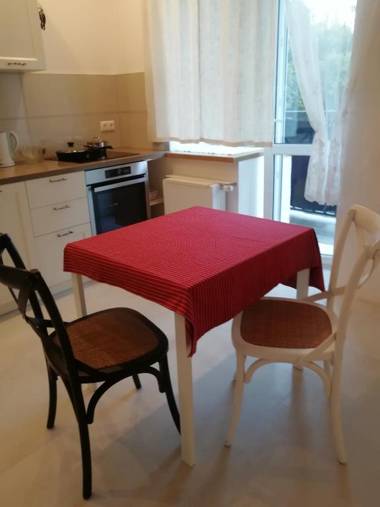 Lux apartment near metro Vasylkivska