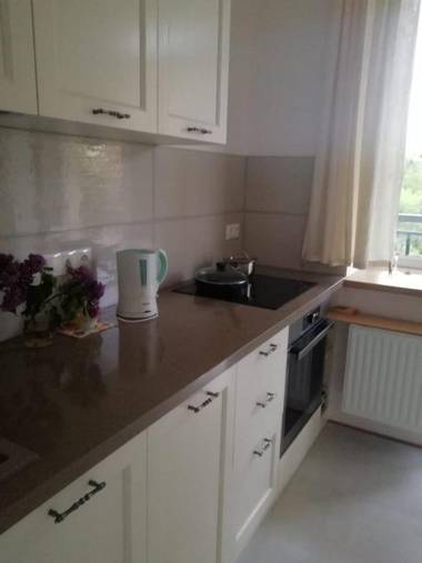 Lux apartment near metro Vasylkivska